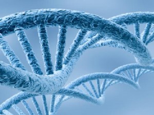 DNA’da heyecan verici bir keşif