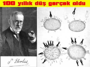 SEVİNDİRİCİ BİR HABER DAHA